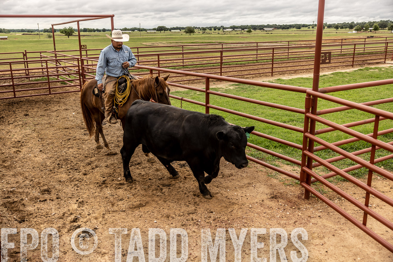 TMyers_Cameron_June2022-527027