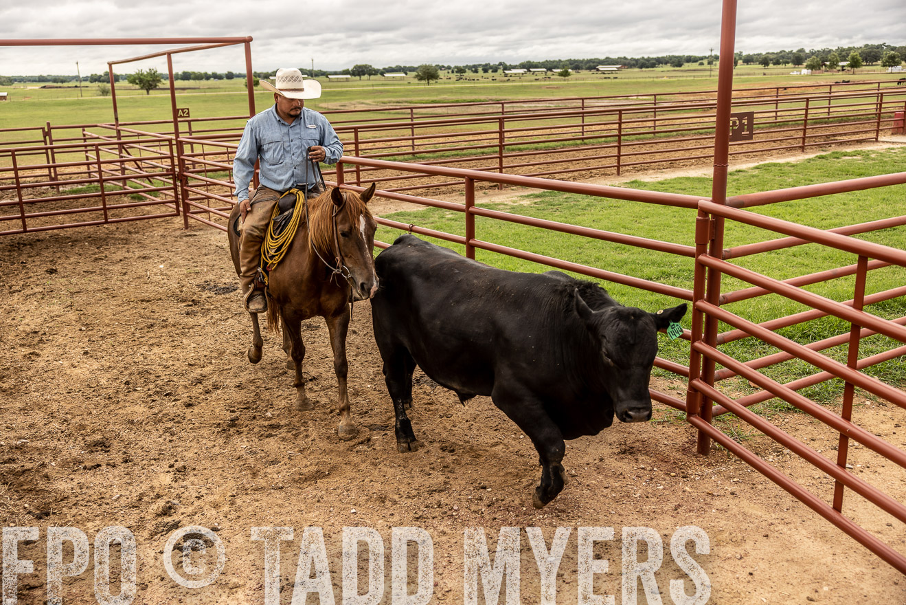 TMyers_Cameron_June2022-527030