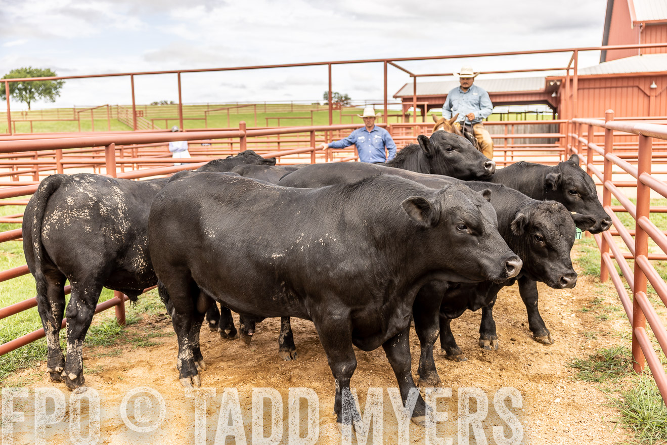 TMyers_Cameron_June2022-527072