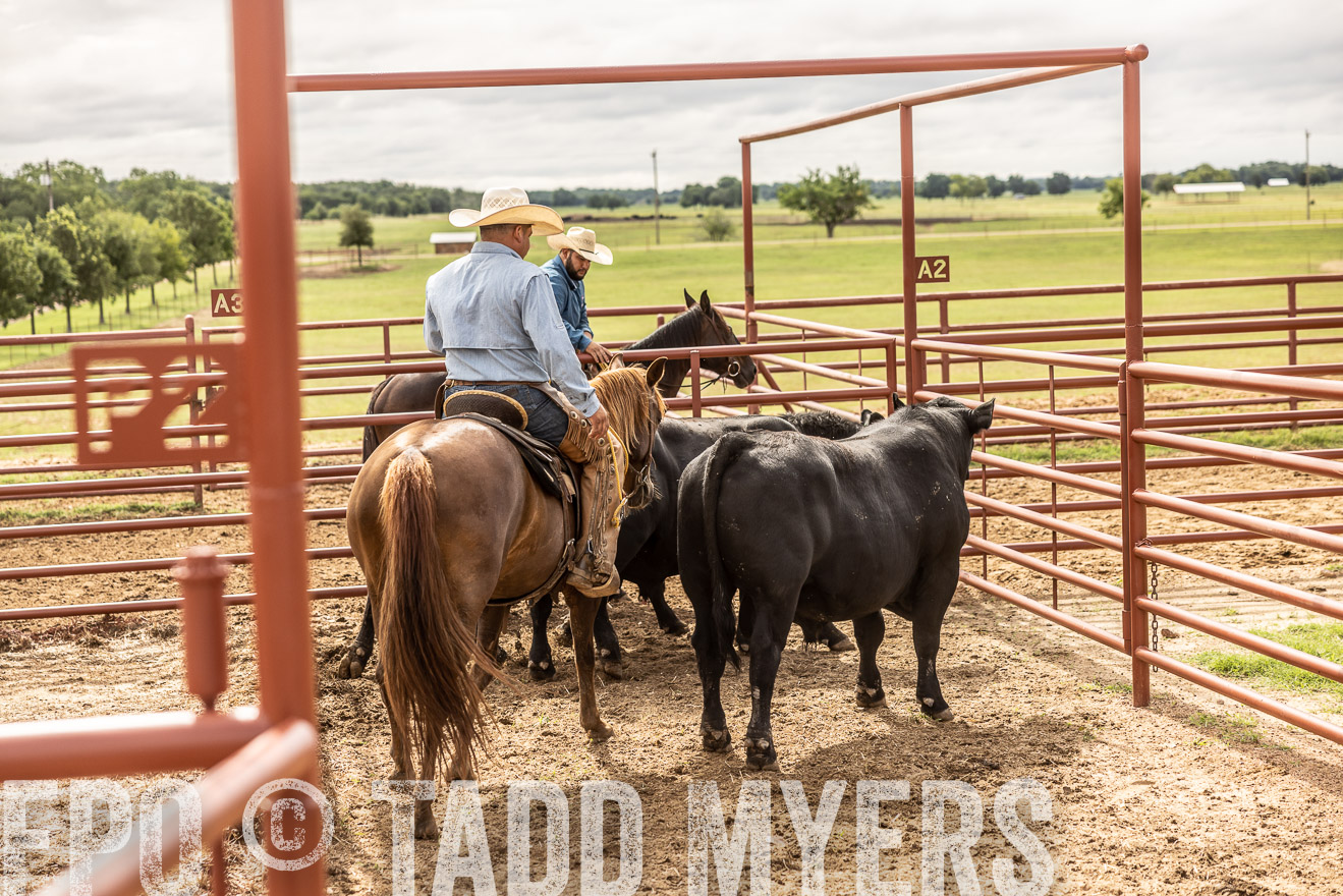 TMyers_Cameron_June2022-527084