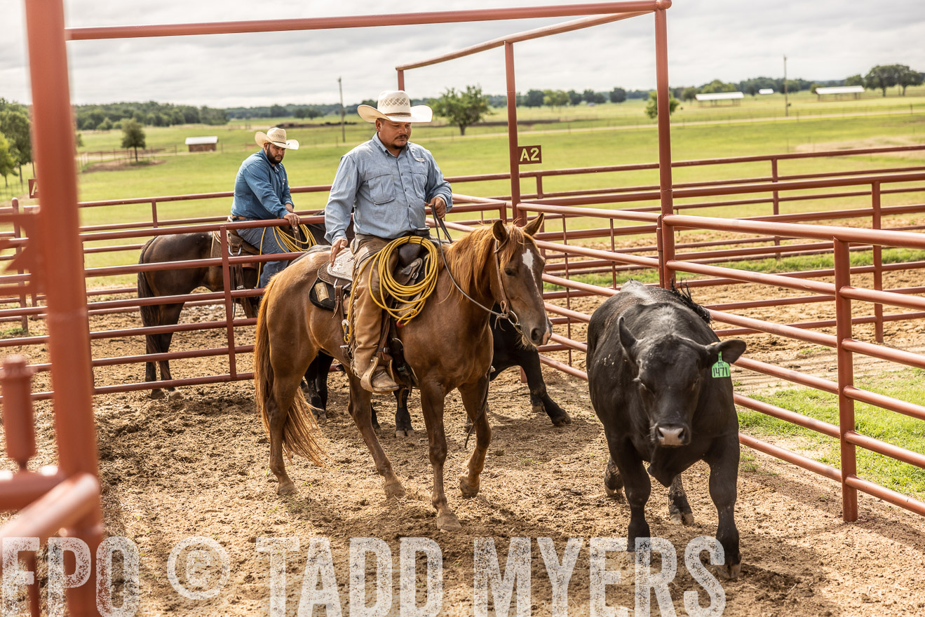 TMyers_Cameron_June2022-527090