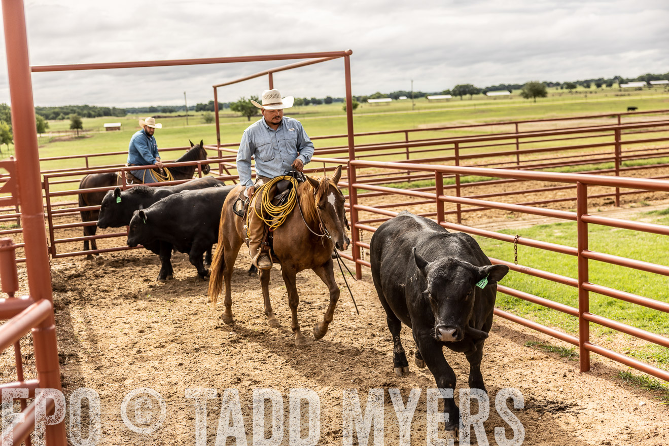TMyers_Cameron_June2022-527094