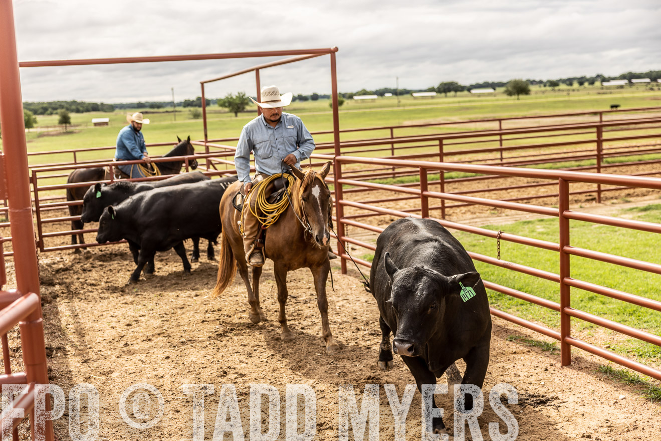 TMyers_Cameron_June2022-527095
