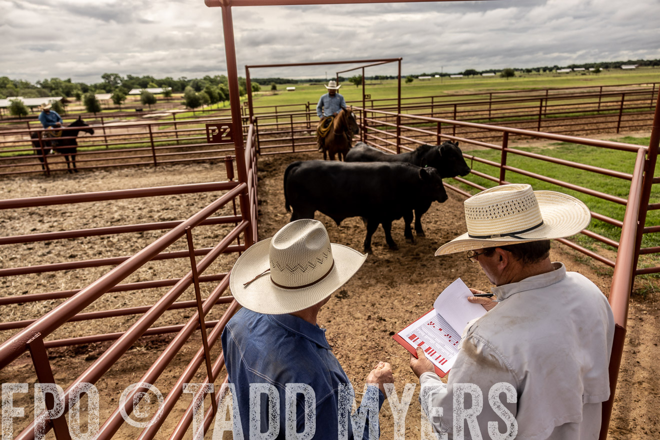 TMyers_Cameron_June2022-527155