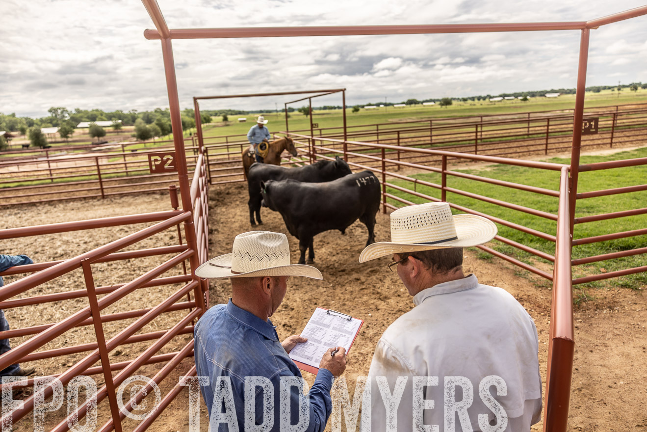 TMyers_Cameron_June2022-527303