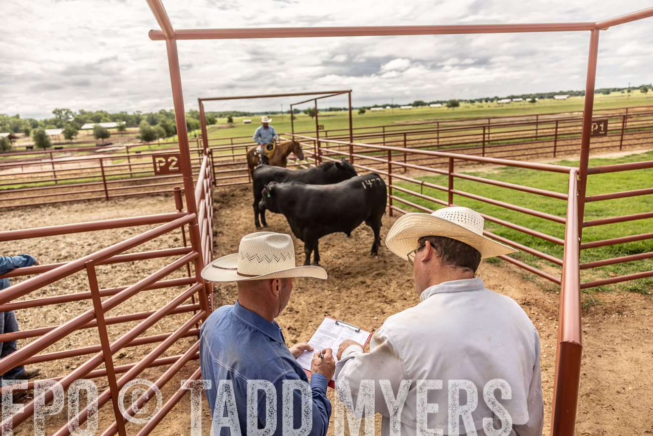 TMyers_Cameron_June2022-527307