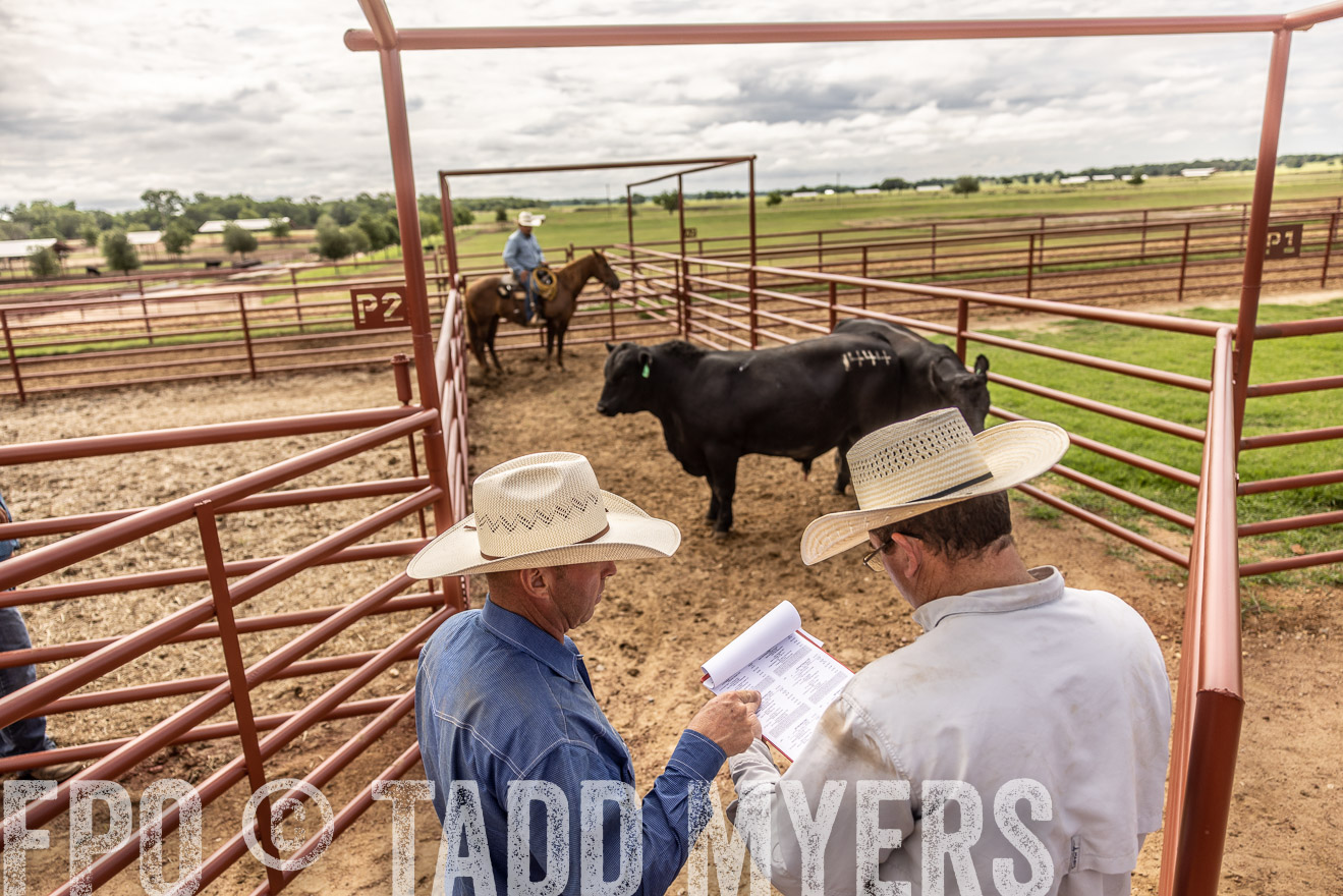 TMyers_Cameron_June2022-527326