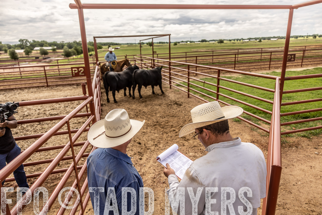TMyers_Cameron_June2022-527339