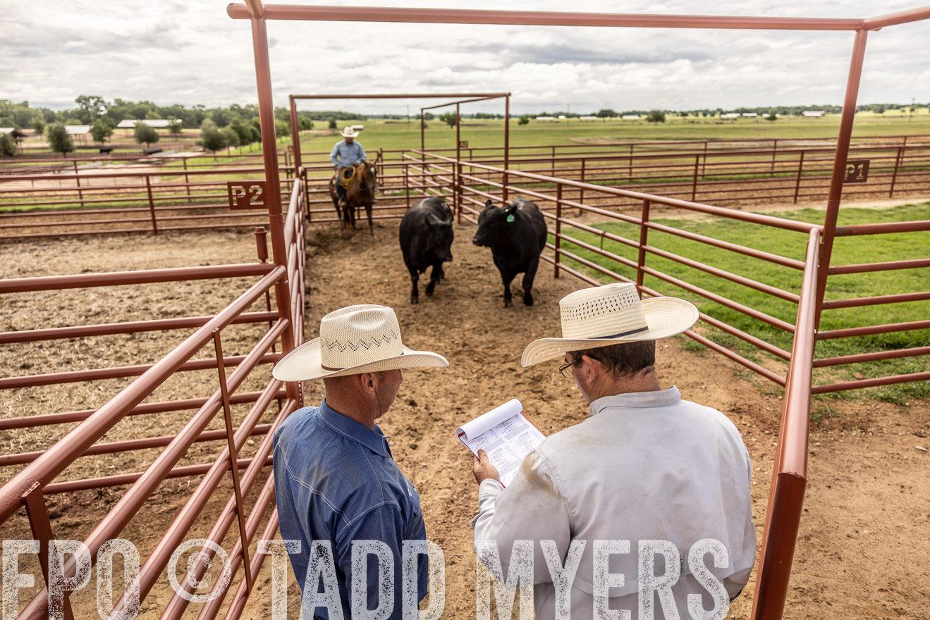 TMyers_Cameron_June2022-527404