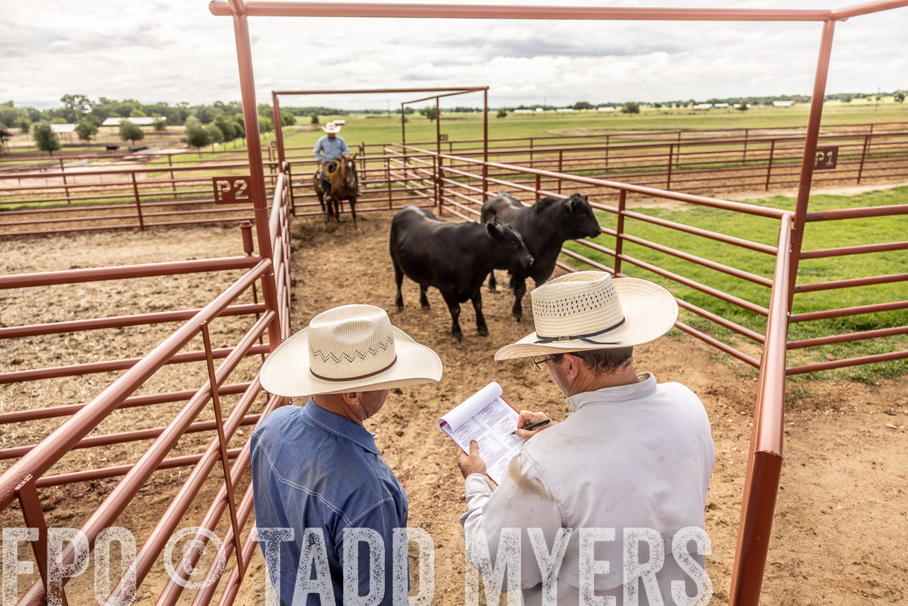 TMyers_Cameron_June2022-527421