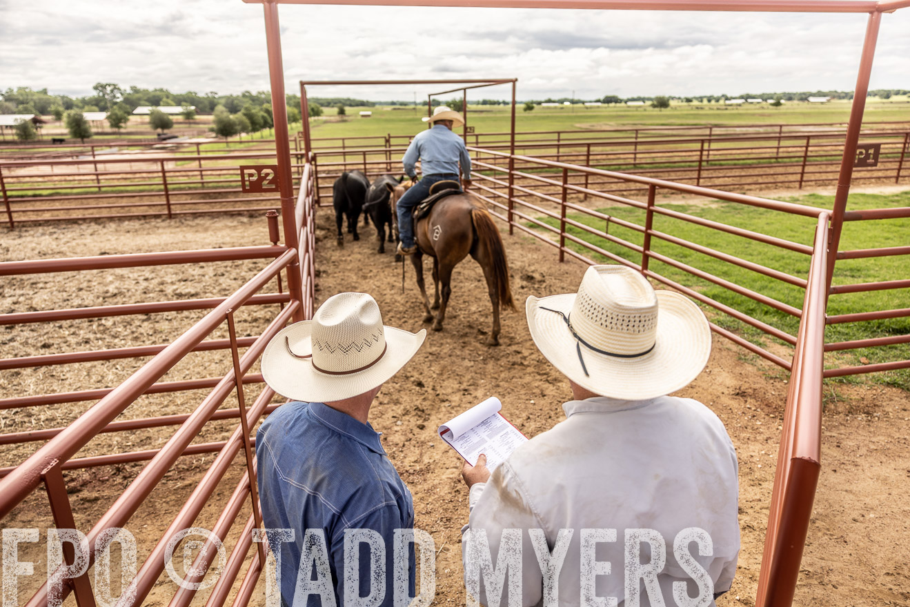 TMyers_Cameron_June2022-527429
