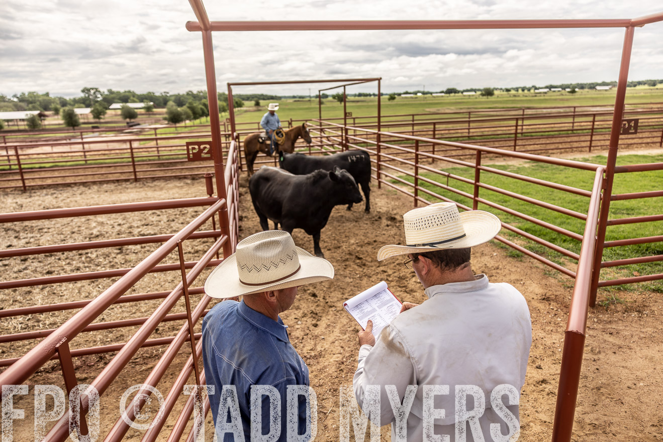 TMyers_Cameron_June2022-527451