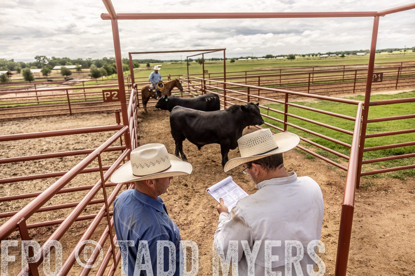 TMyers_Cameron_June2022-527462