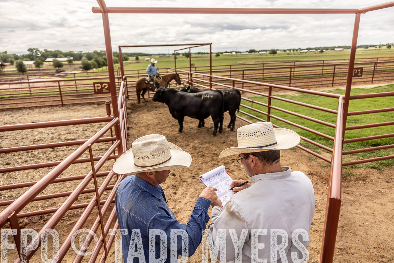 TMyers_Cameron_June2022-527498