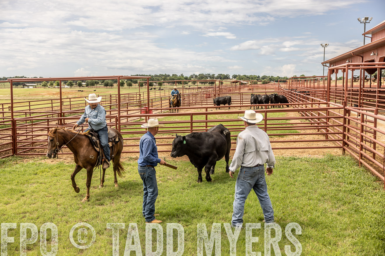 TMyers_Cameron_June2022-527622