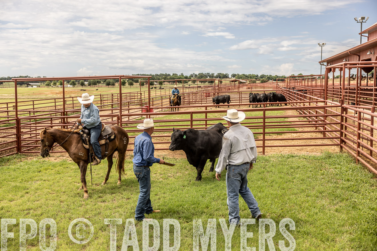 TMyers_Cameron_June2022-527623