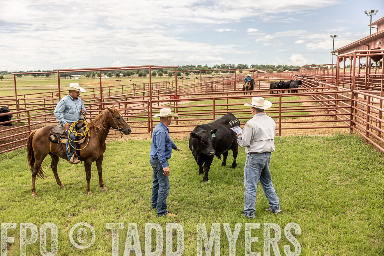 TMyers_Cameron_June2022-527754