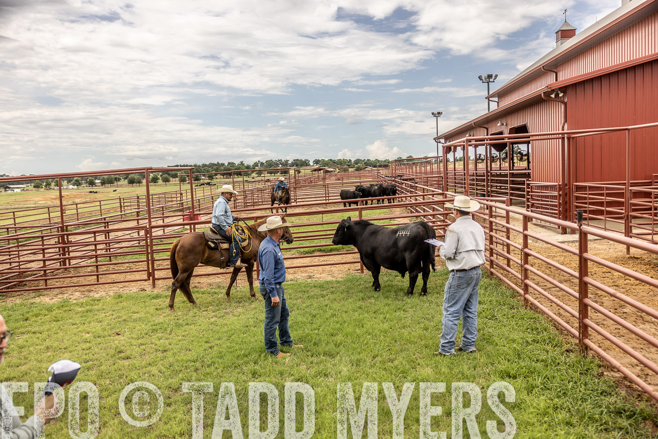 TMyers_Cameron_June2022-527914