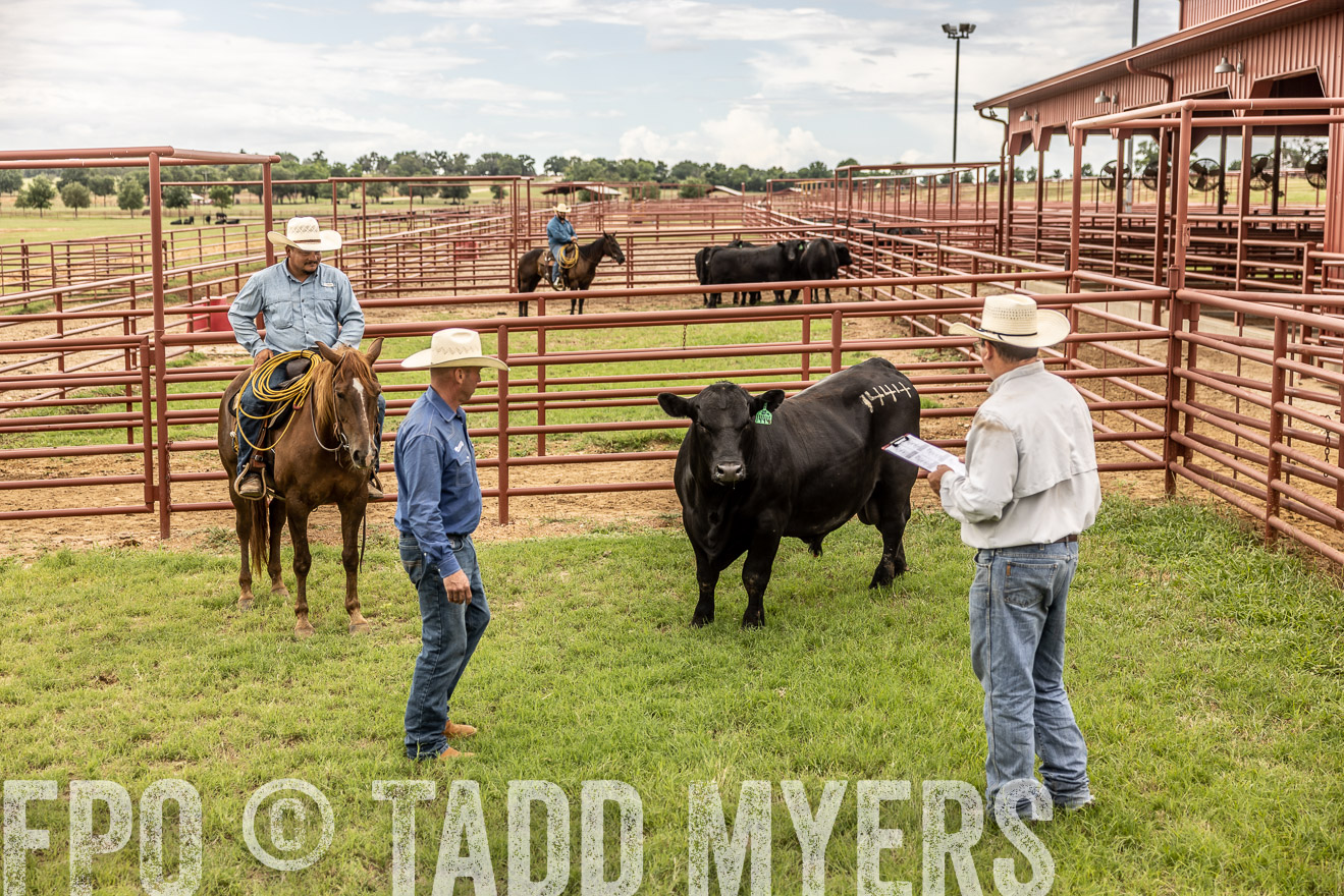 TMyers_Cameron_June2022-527937