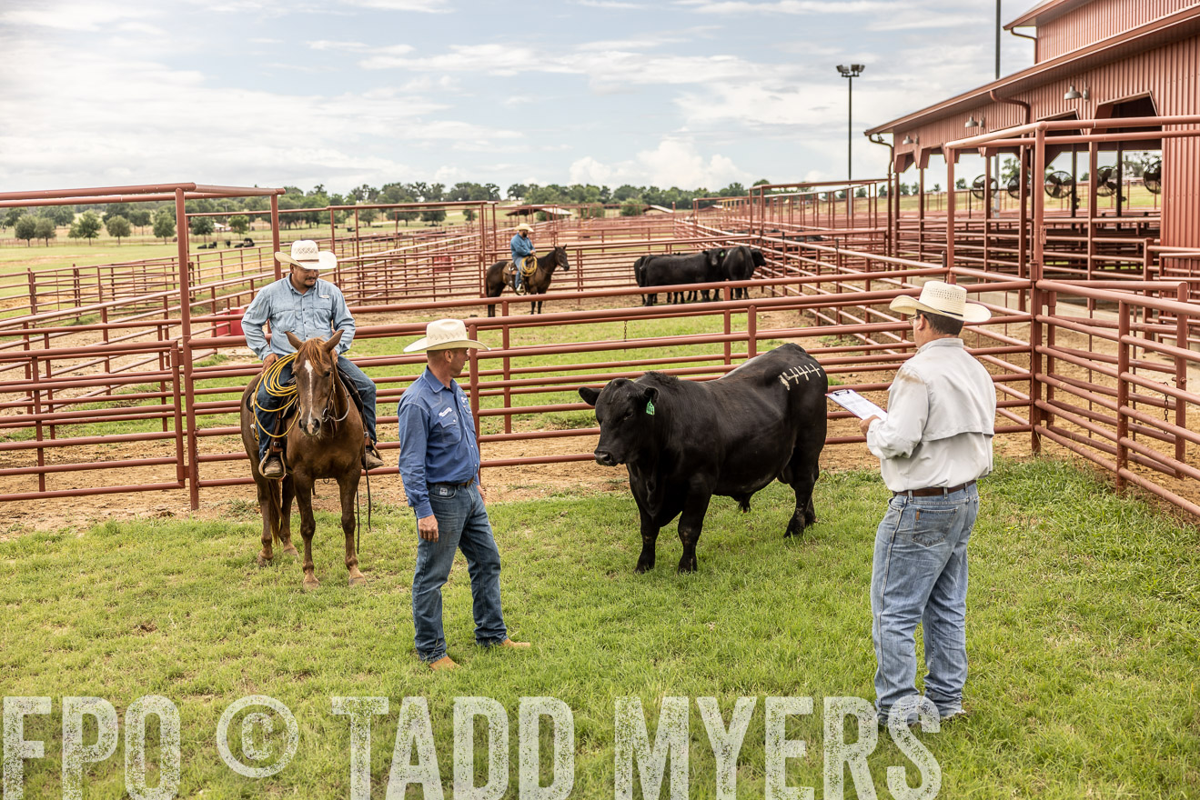 TMyers_Cameron_June2022-527947