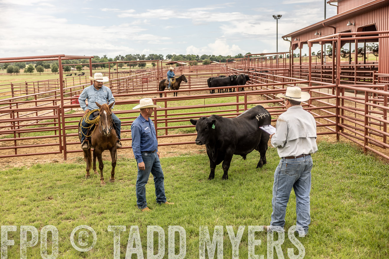 TMyers_Cameron_June2022-527950