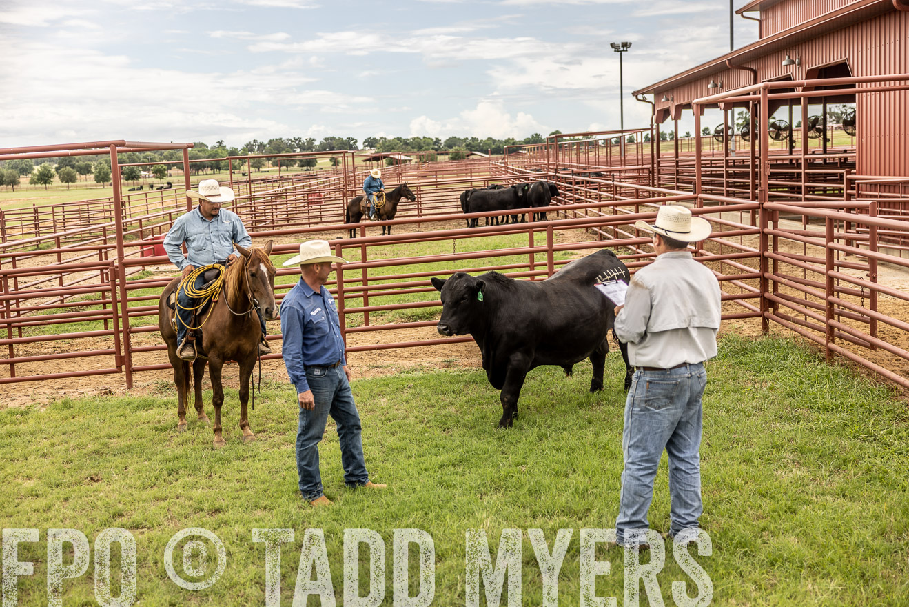 TMyers_Cameron_June2022-527955