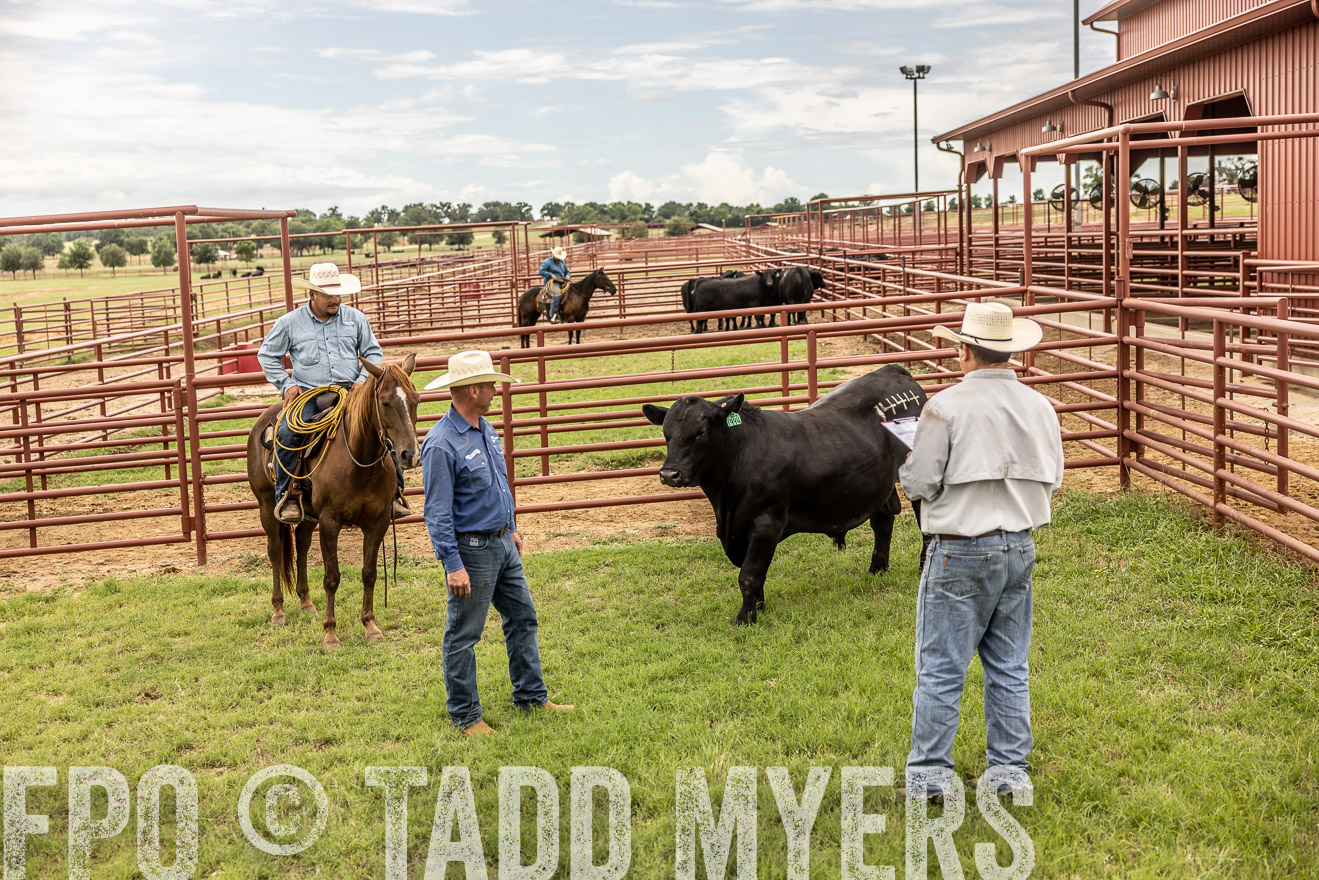 TMyers_Cameron_June2022-527958