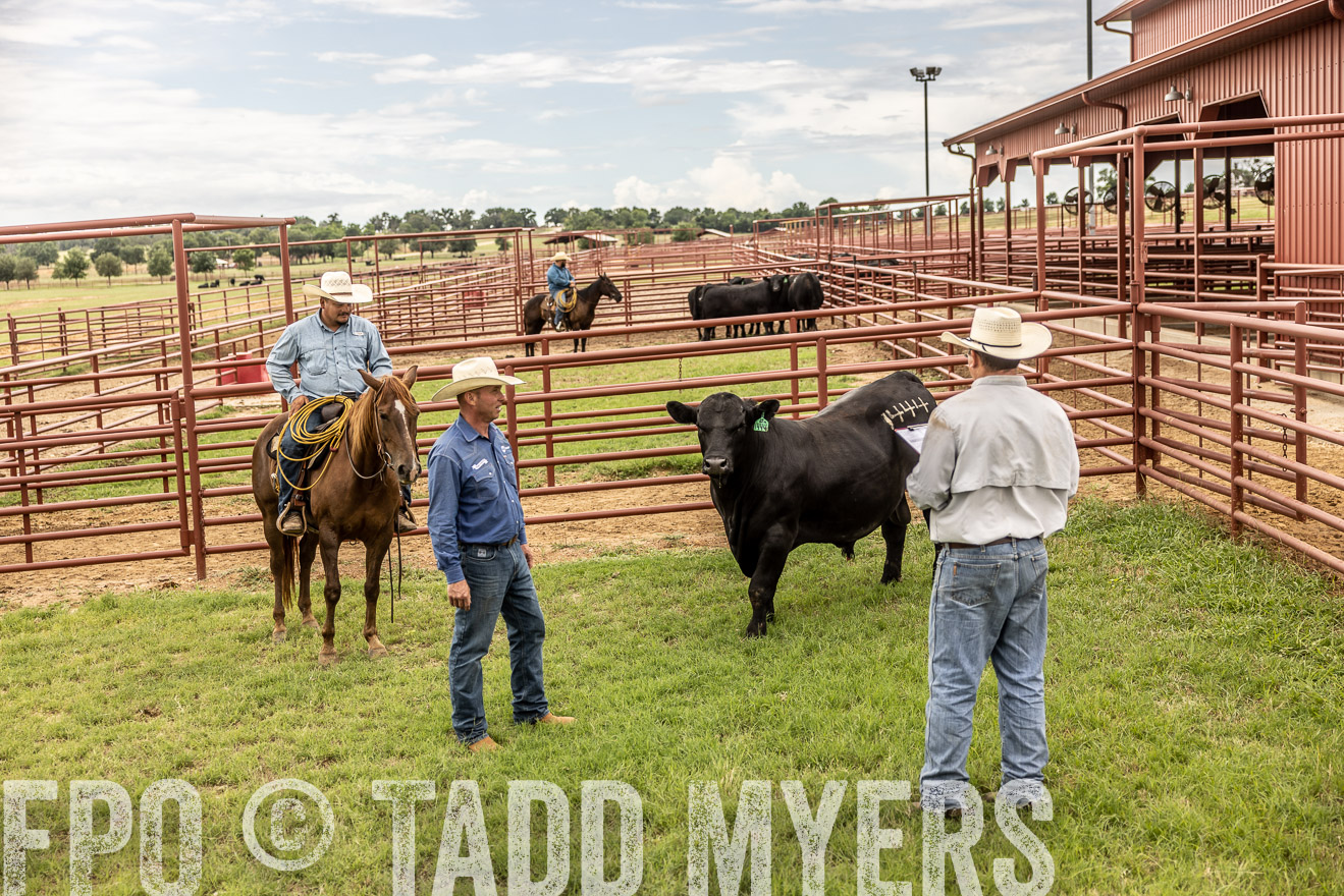 TMyers_Cameron_June2022-527959