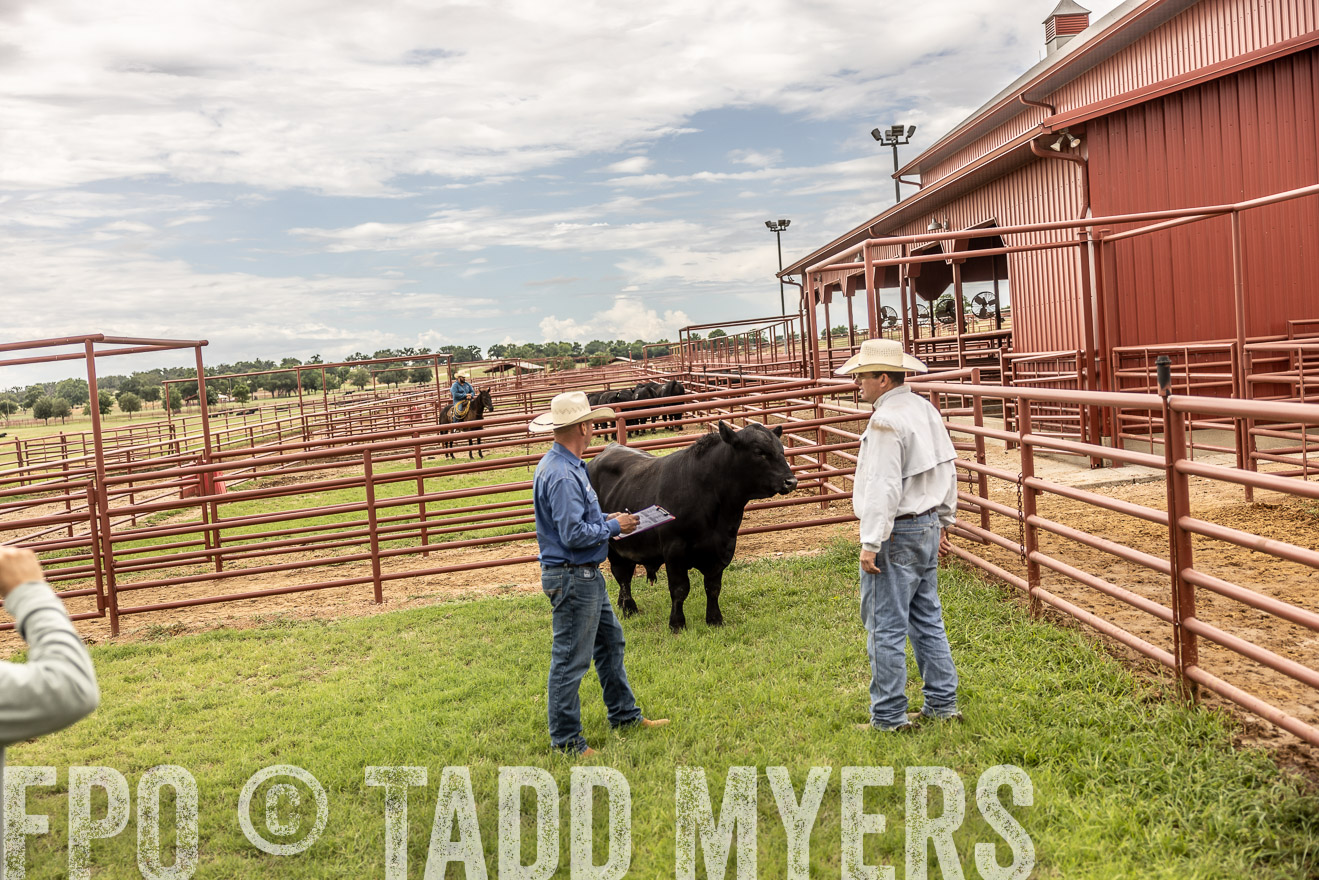 TMyers_Cameron_June2022-528014
