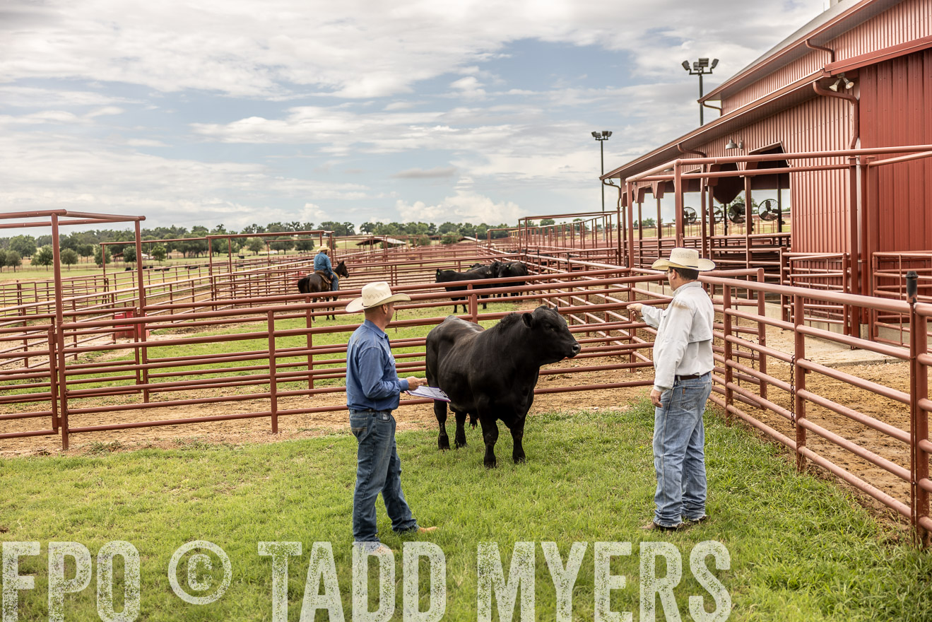 TMyers_Cameron_June2022-528101