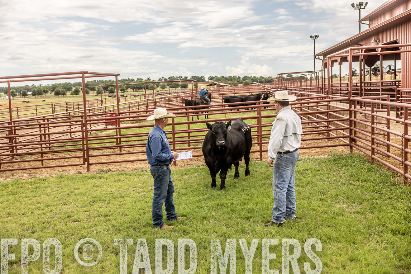 TMyers_Cameron_June2022-528214