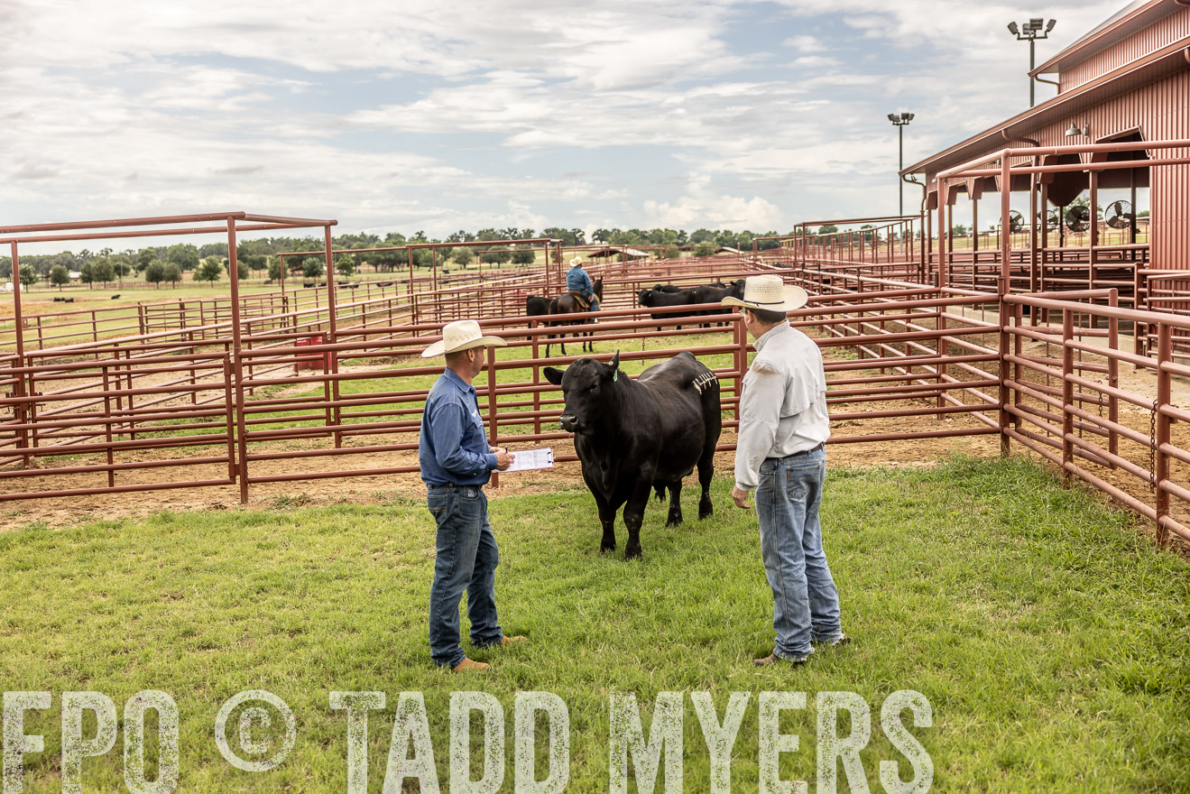 TMyers_Cameron_June2022-528223
