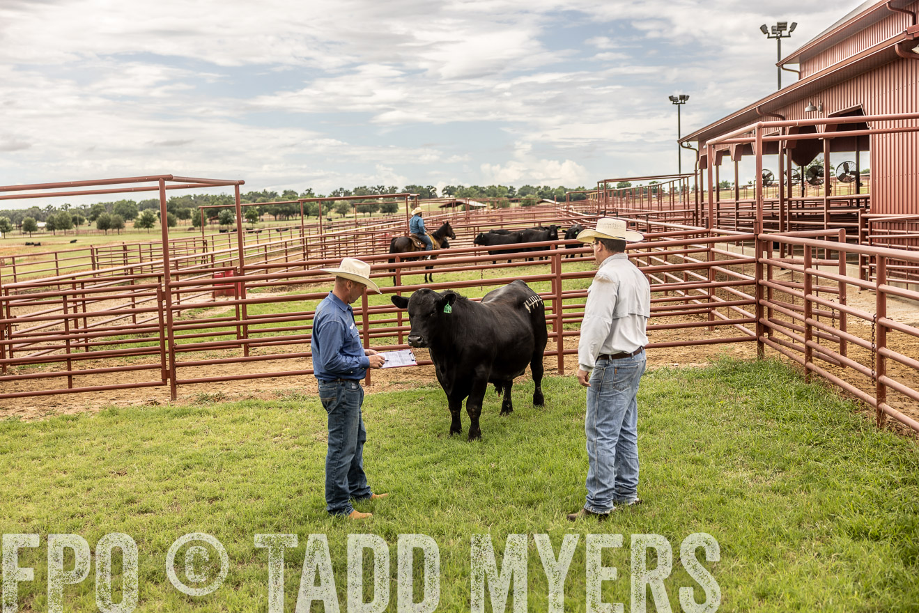 TMyers_Cameron_June2022-528245