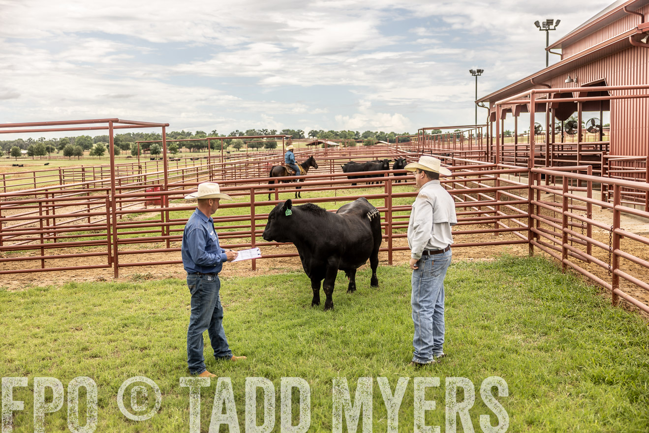 TMyers_Cameron_June2022-528274