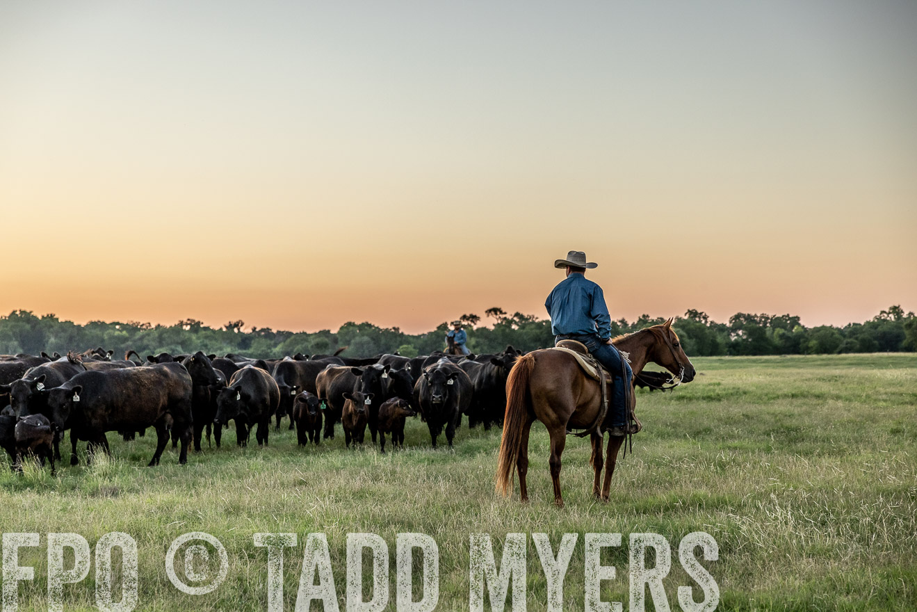 TMyers_Cameron_June2022-528300