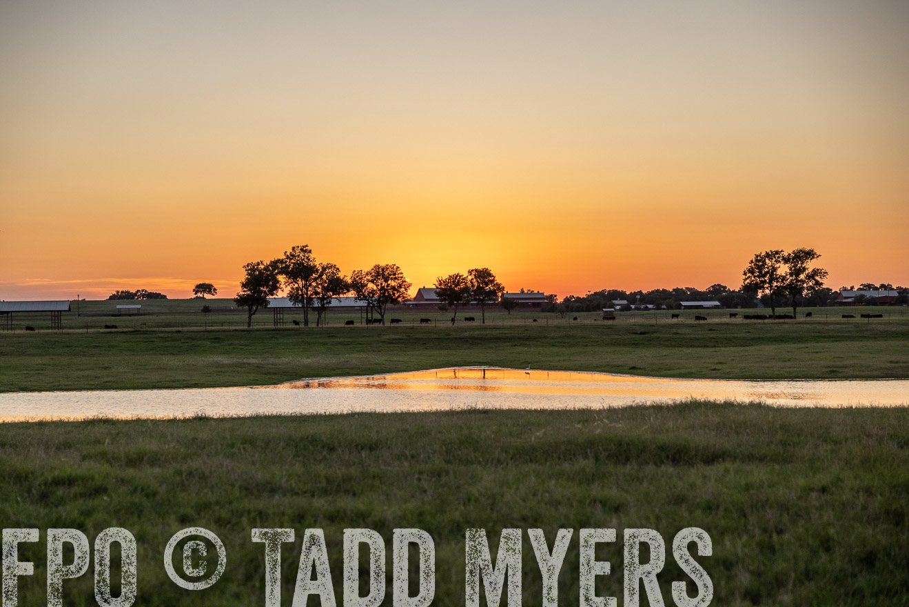 TMyers_Cameron_June2022-528316