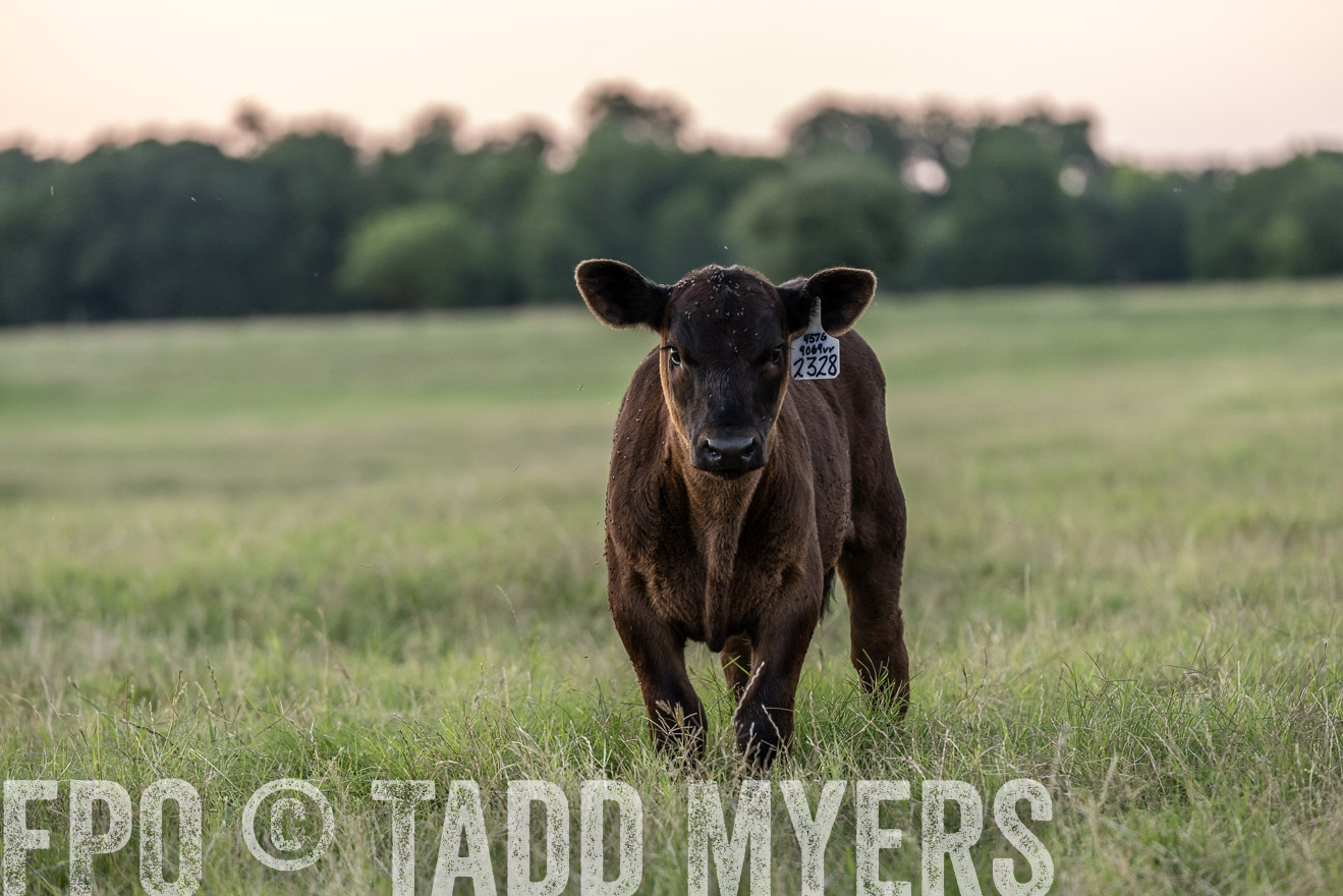 TMyers_Cameron_June2022-528331