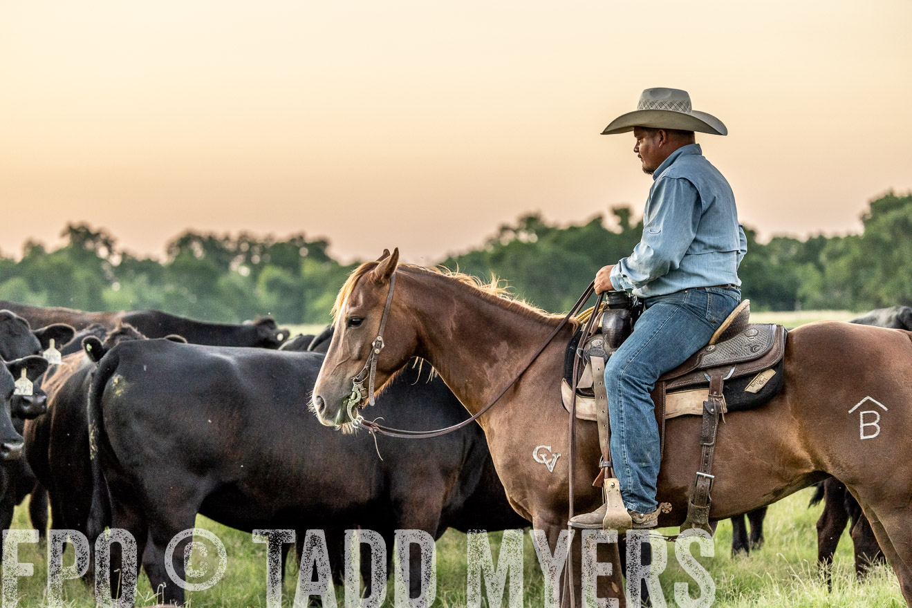 TMyers_Cameron_June2022-528405