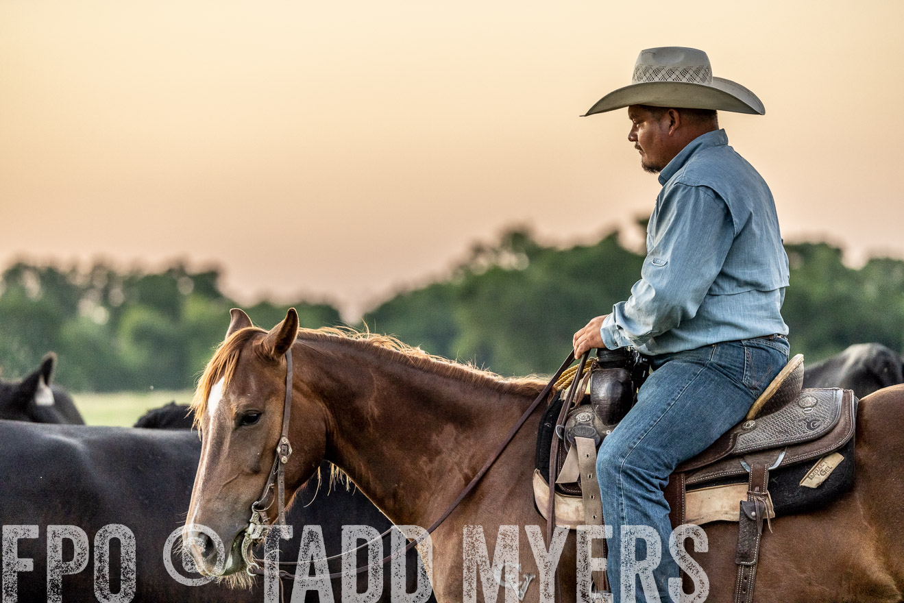 TMyers_Cameron_June2022-528407