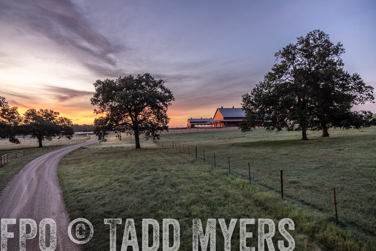 TMyers_Cameron_June2022-528586