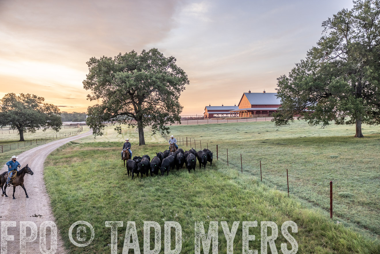 TMyers_Cameron_June2022-528902