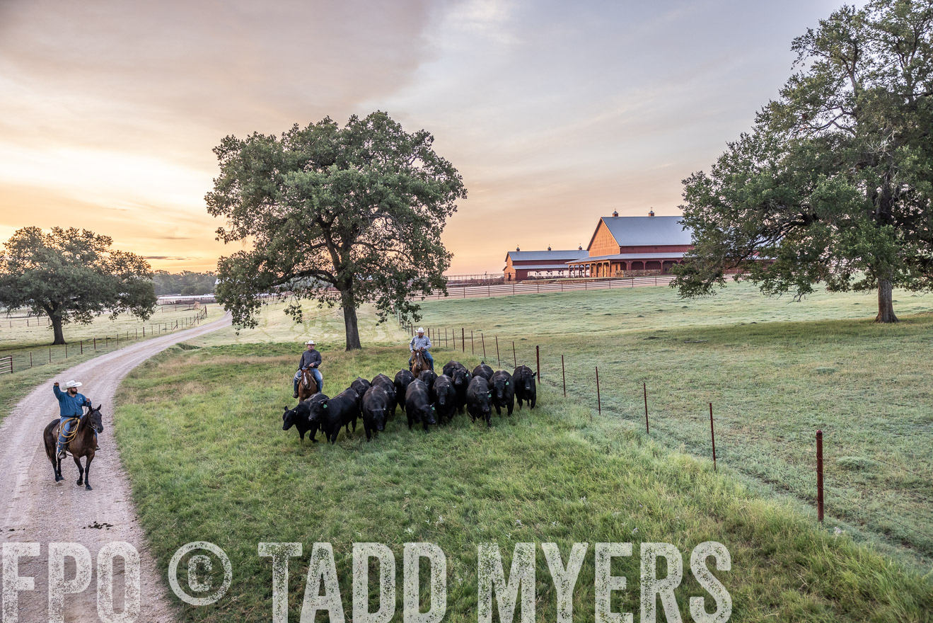 TMyers_Cameron_June2022-528908