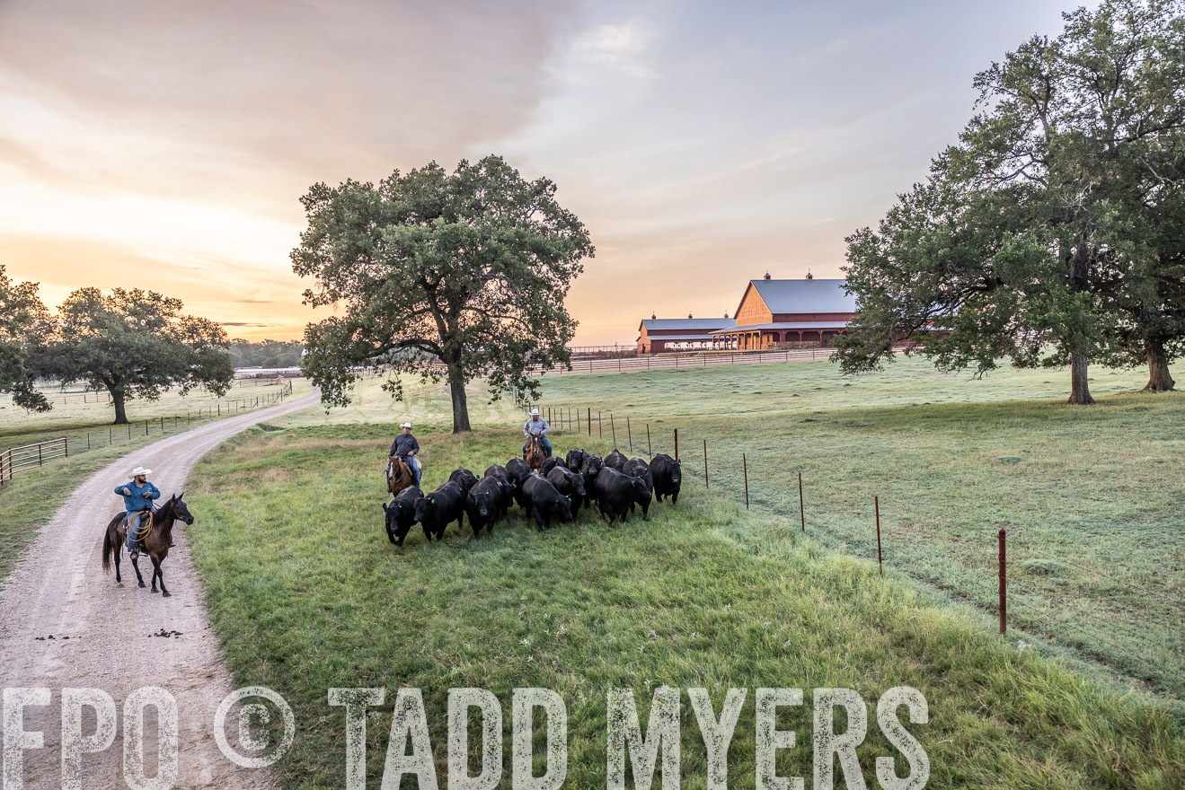 TMyers_Cameron_June2022-528910