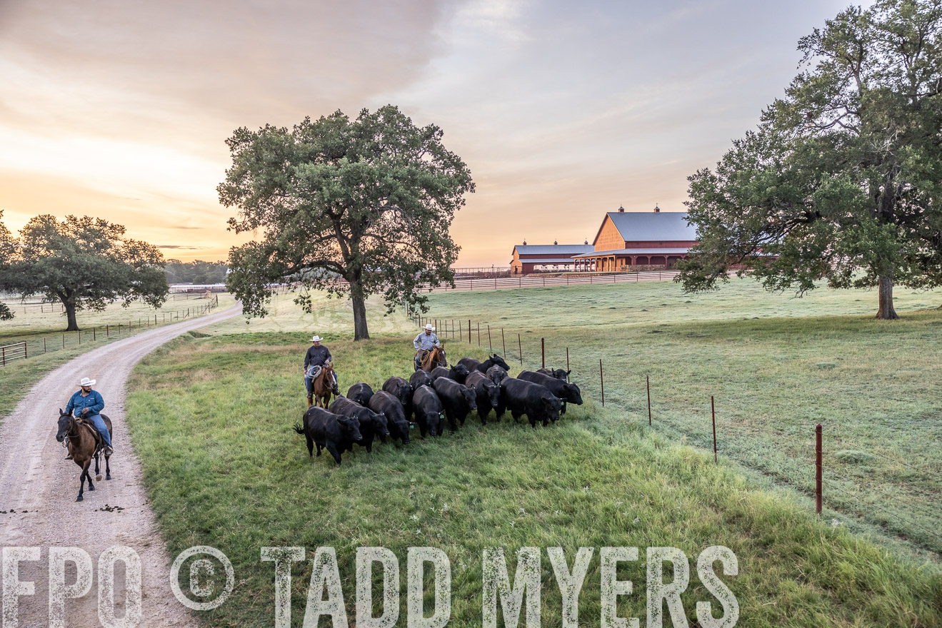 TMyers_Cameron_June2022-528914
