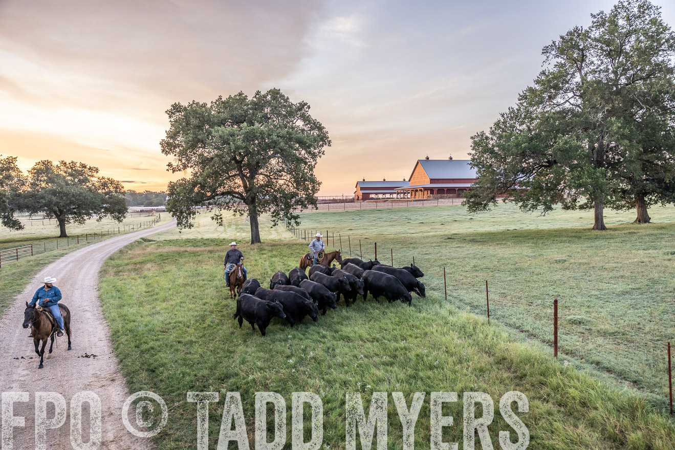 TMyers_Cameron_June2022-528918