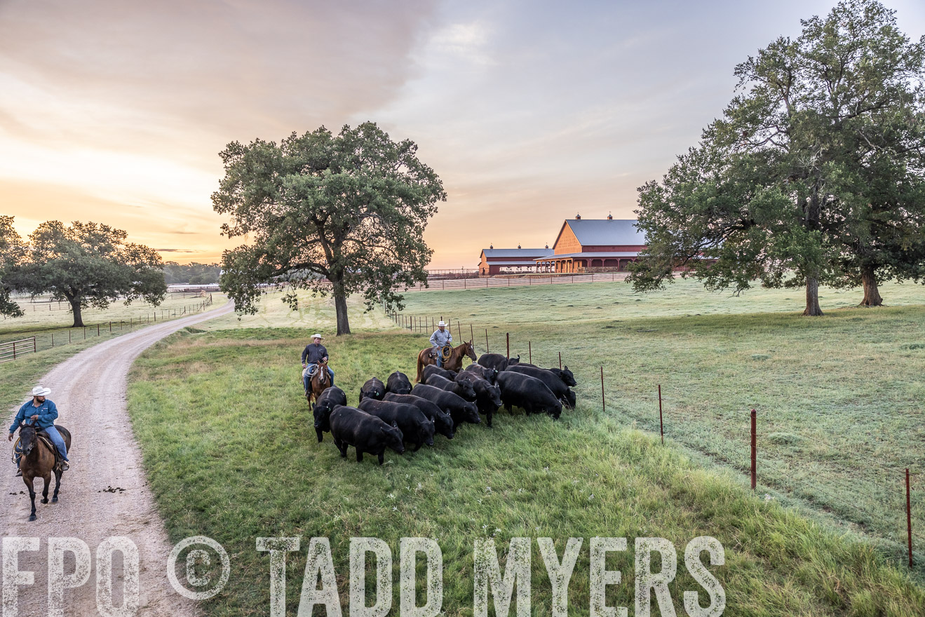 TMyers_Cameron_June2022-528920