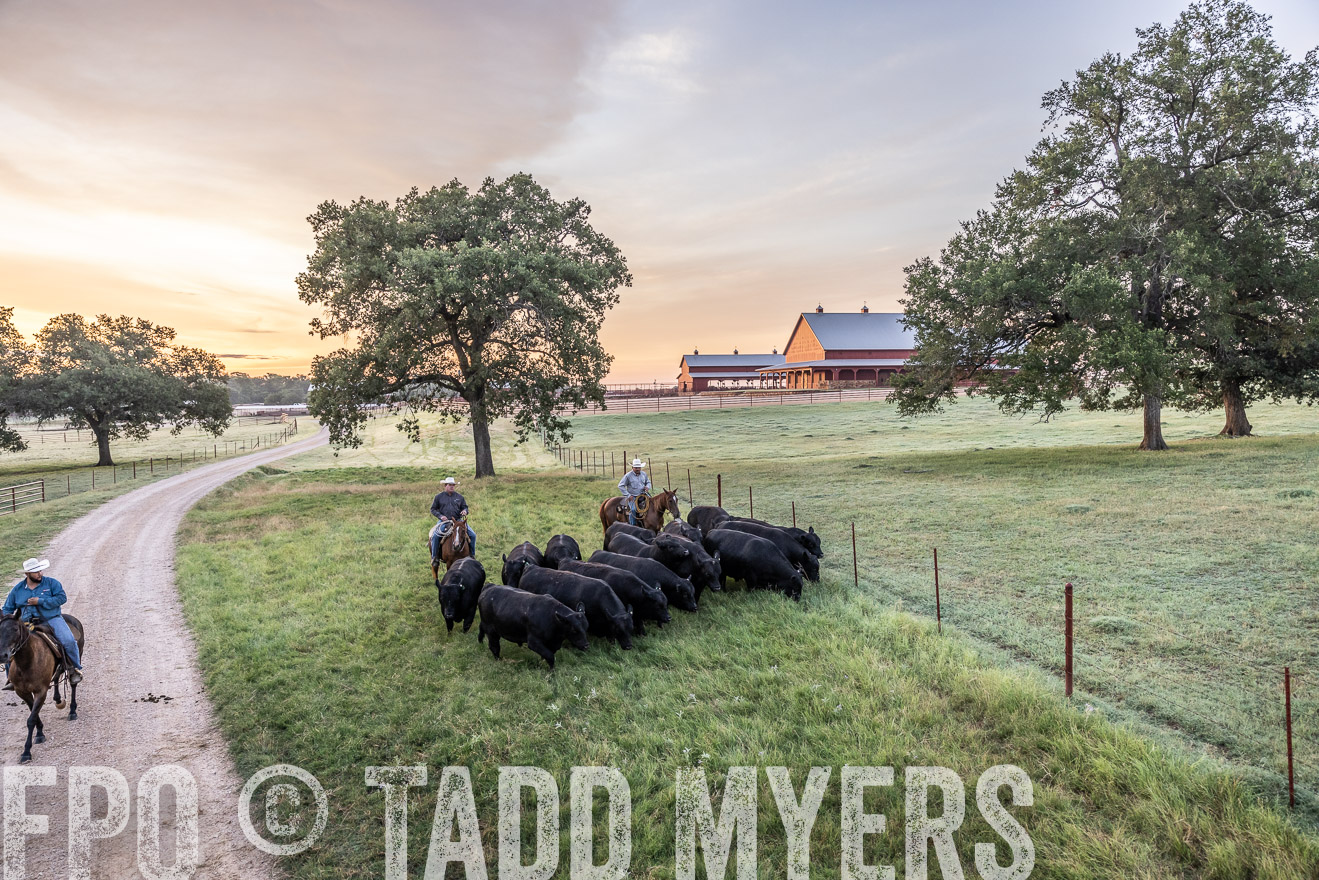TMyers_Cameron_June2022-528921