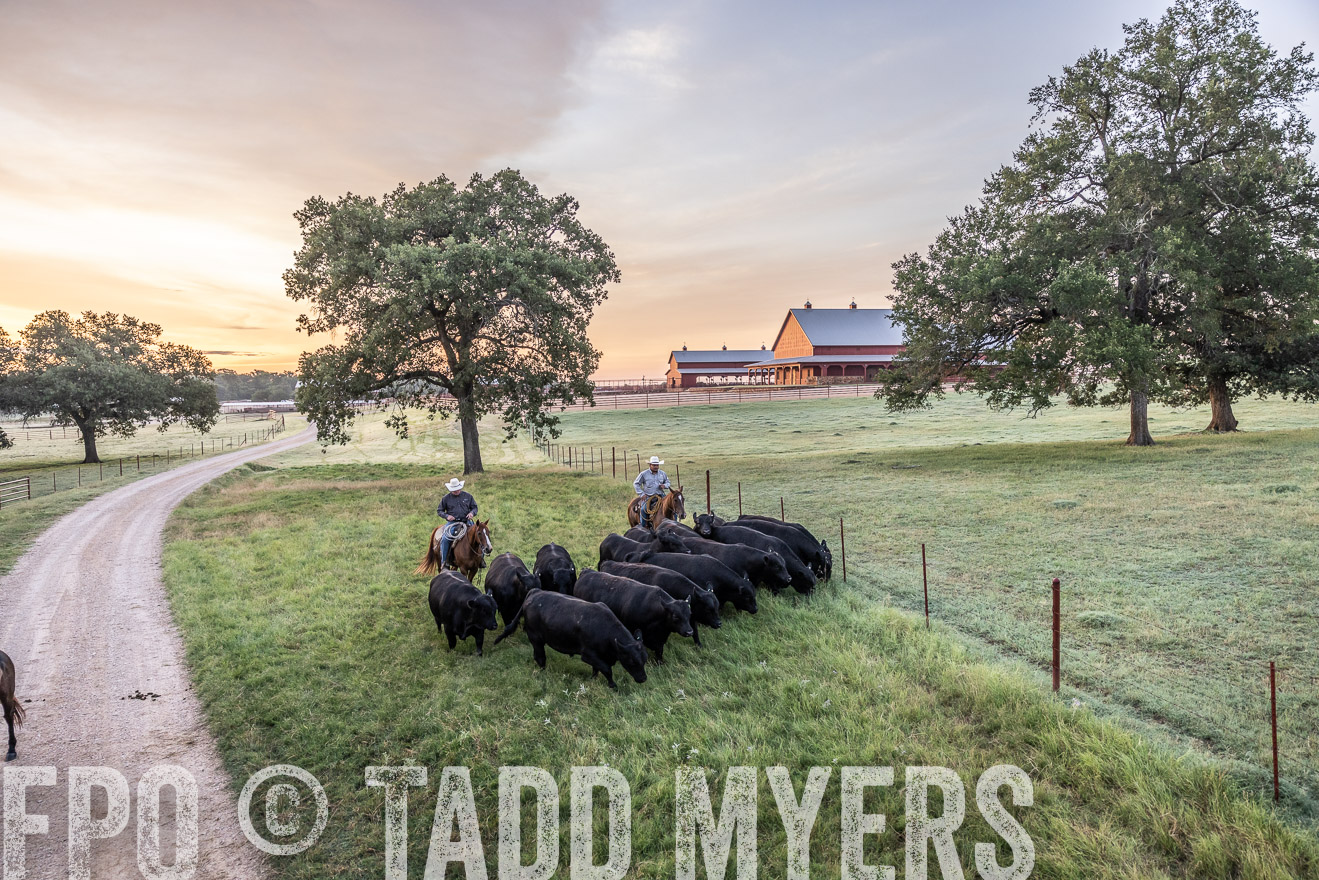 TMyers_Cameron_June2022-528925