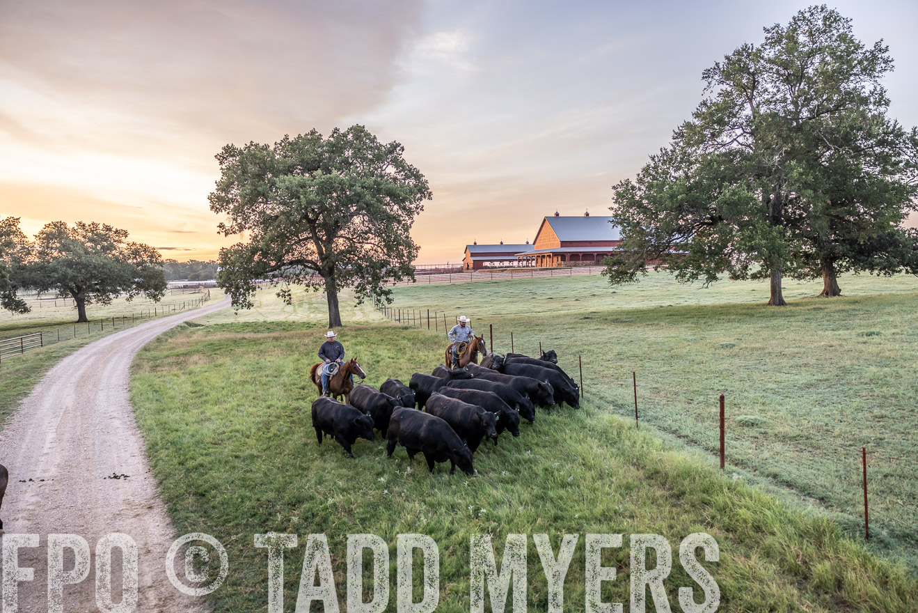 TMyers_Cameron_June2022-528927