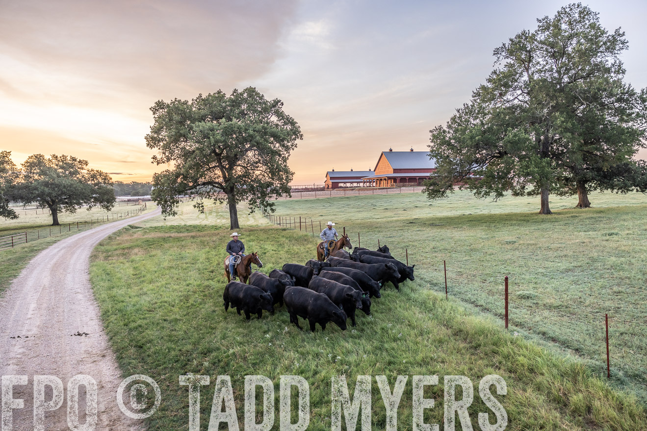 TMyers_Cameron_June2022-528929